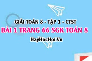 Giải bài 1 trang 66 Toán 8 Tập 1 SGK Chân trời sáng tạo